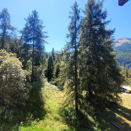 לז אור Le Lodge Des Marmottes - Calme, Cosy, Vue Nature מראה חיצוני תמונה