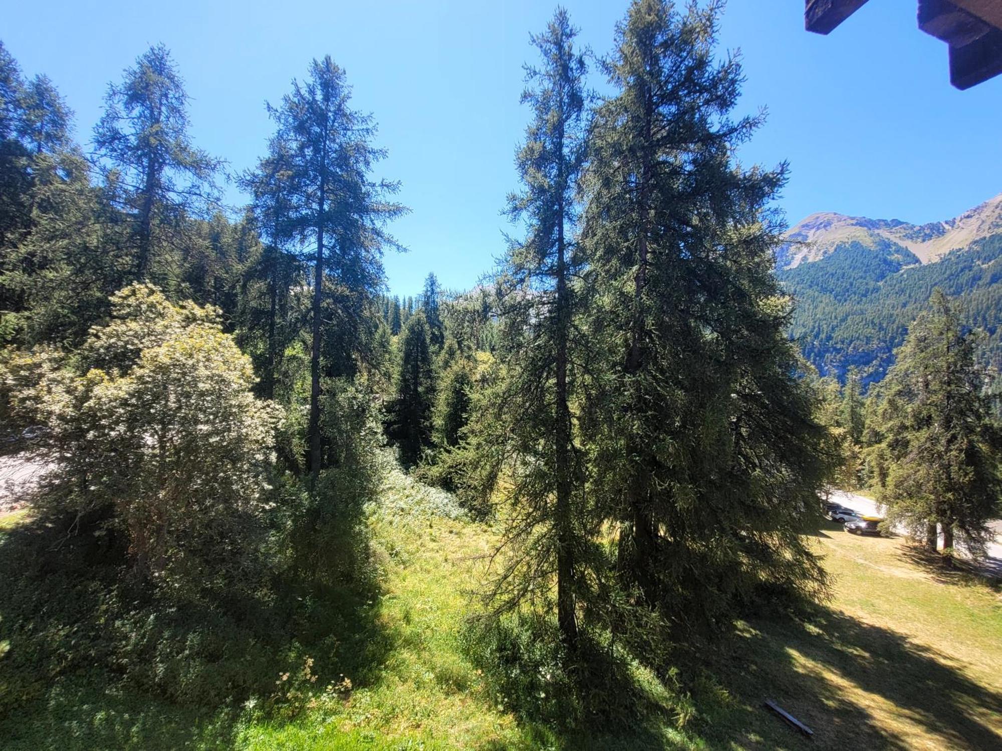 לז אור Le Lodge Des Marmottes - Calme, Cosy, Vue Nature מראה חיצוני תמונה